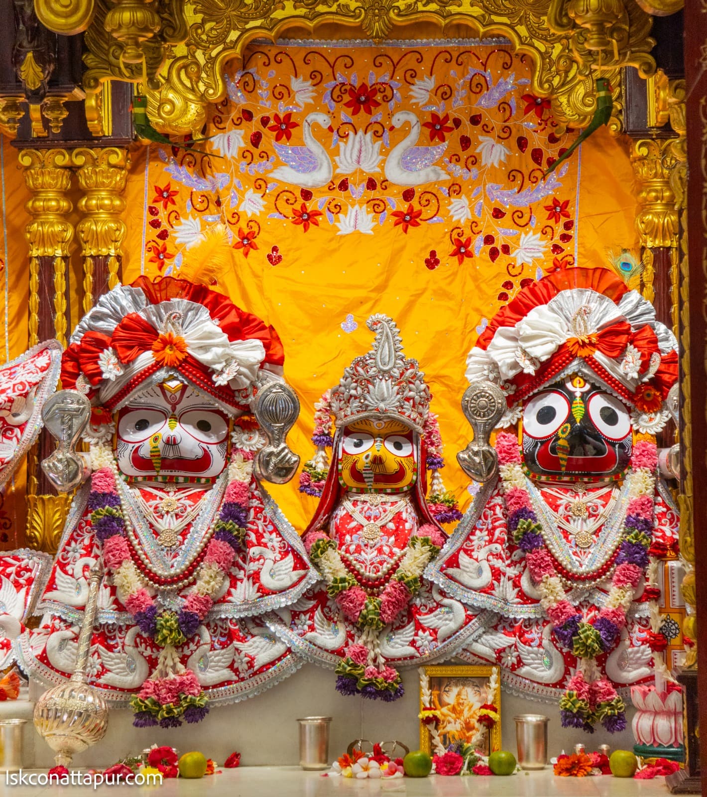 Sringar Darshan photo 4 of 8 — 27 February 2026