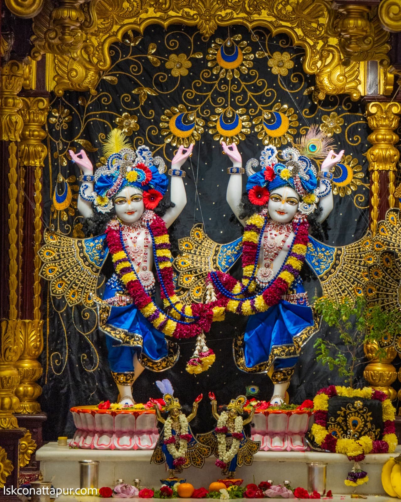 Sringar Darshan photo 5 of 6 — 28 February 2026