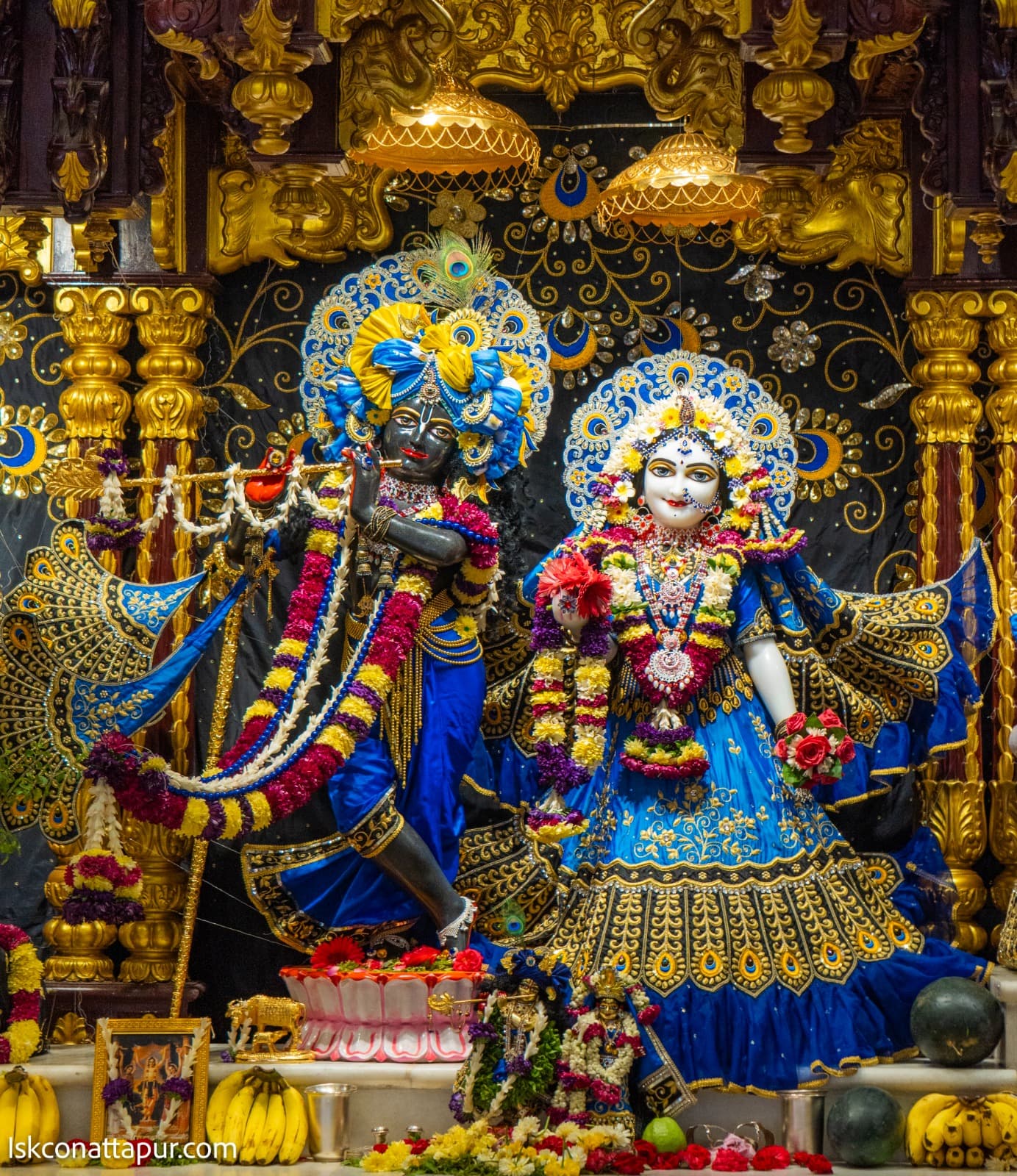 Sringar Darshan photo 1 of 6 — 28 February 2026