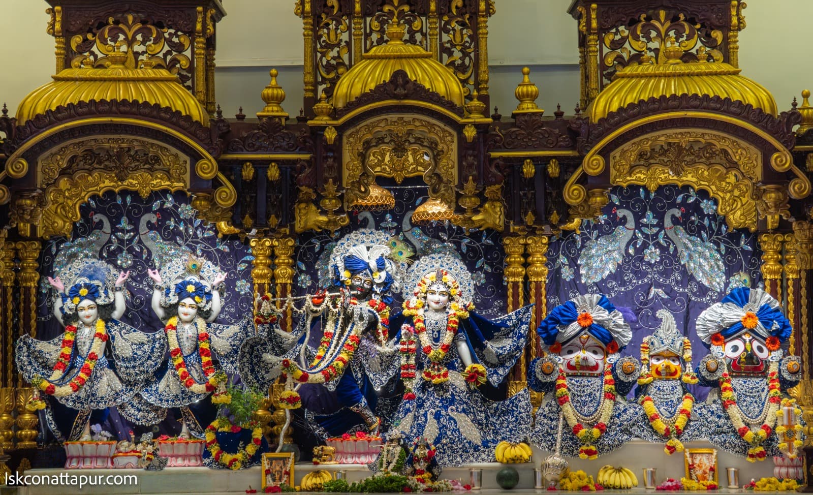 Sringar Darshan photo 3 of 6 — 1 March 2026