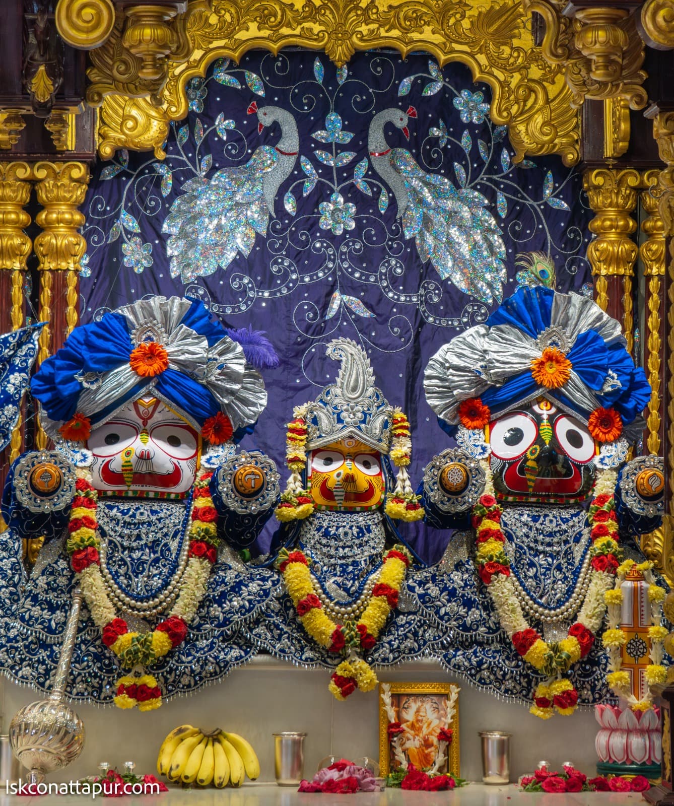 Sringar Darshan photo 4 of 6 — 1 March 2026