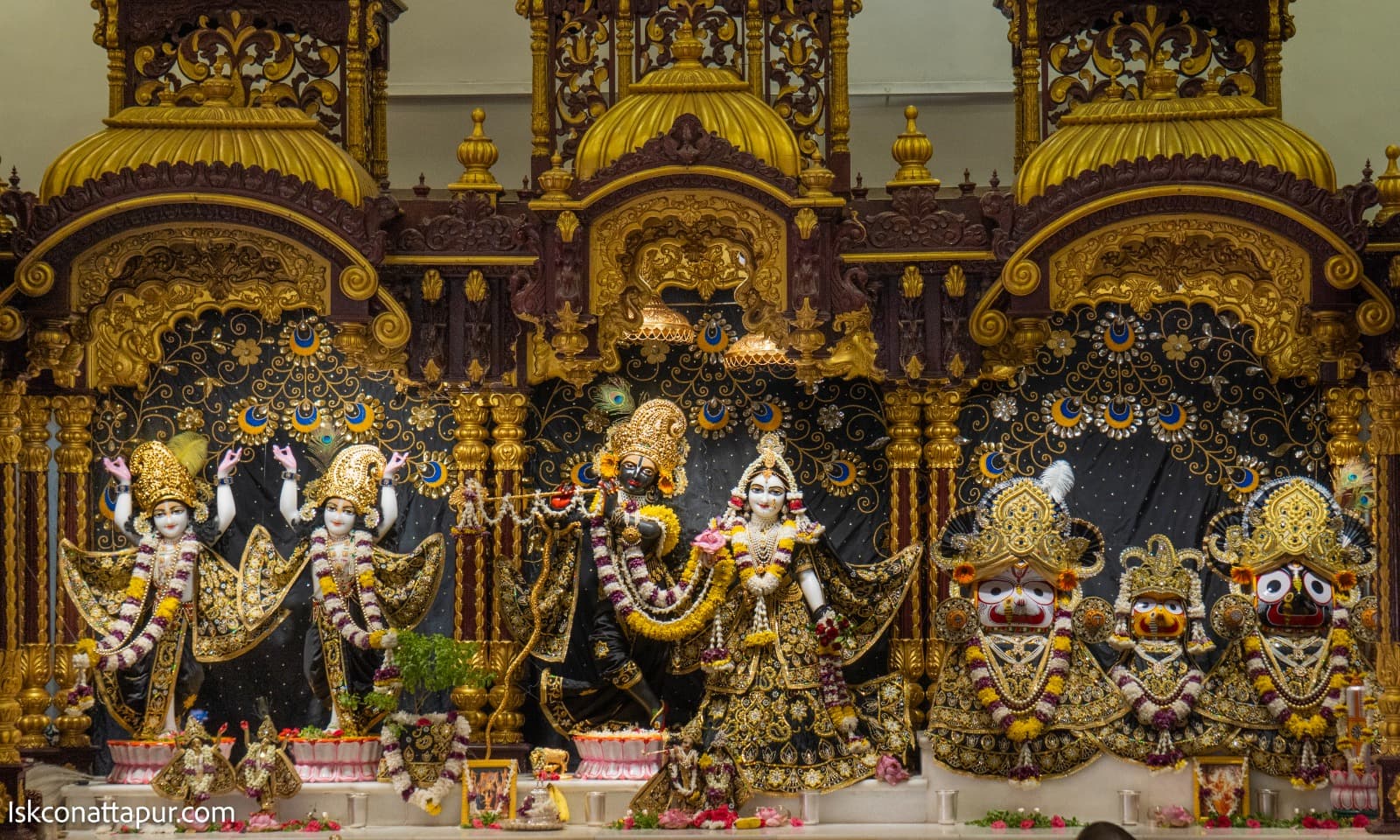 Sringar Darshan photo 2 of 6 — 25 April 2026