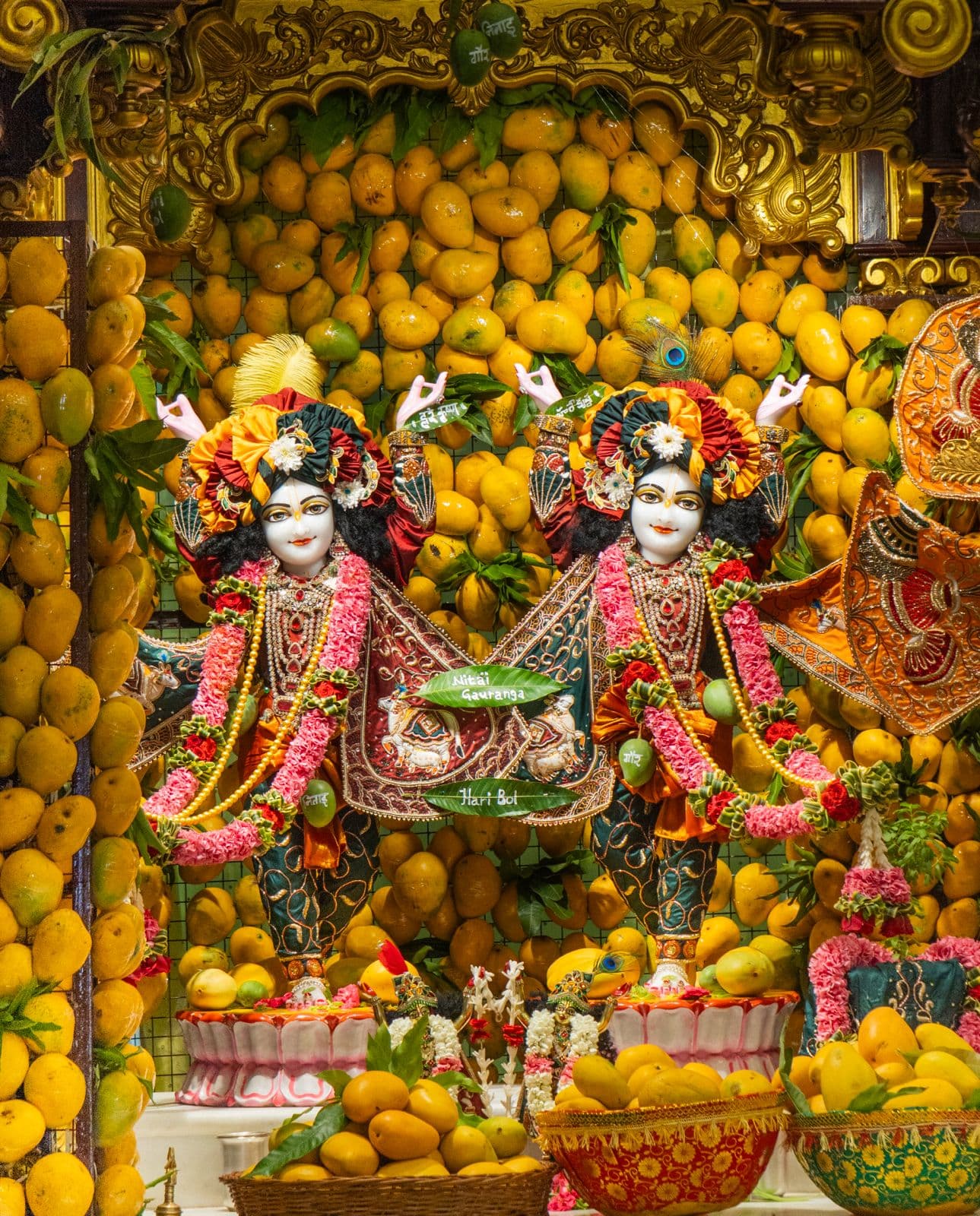 Sringar Darshan photo 5 of 6 — 17 May 2026
