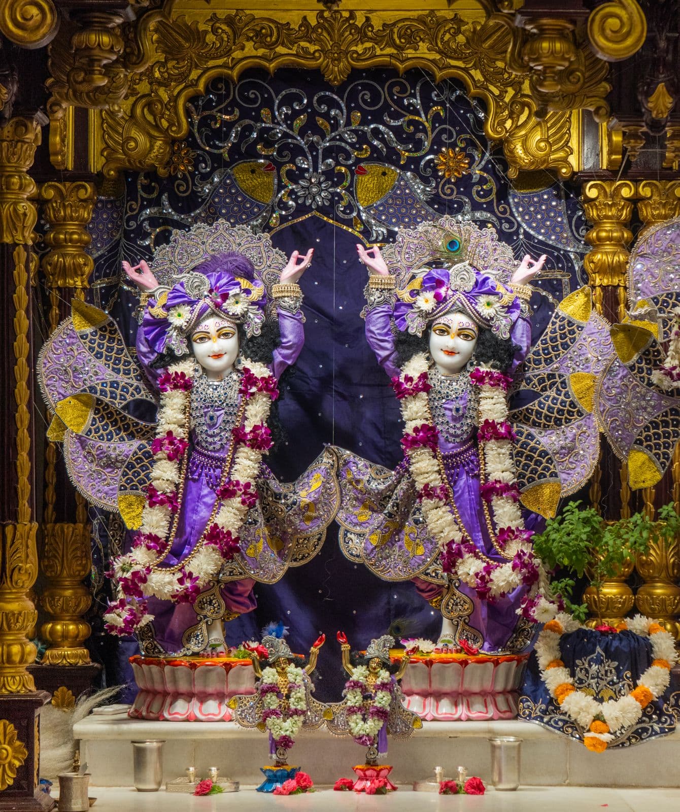 Sringar Darshan photo 5 of 6 — 19 May 2026