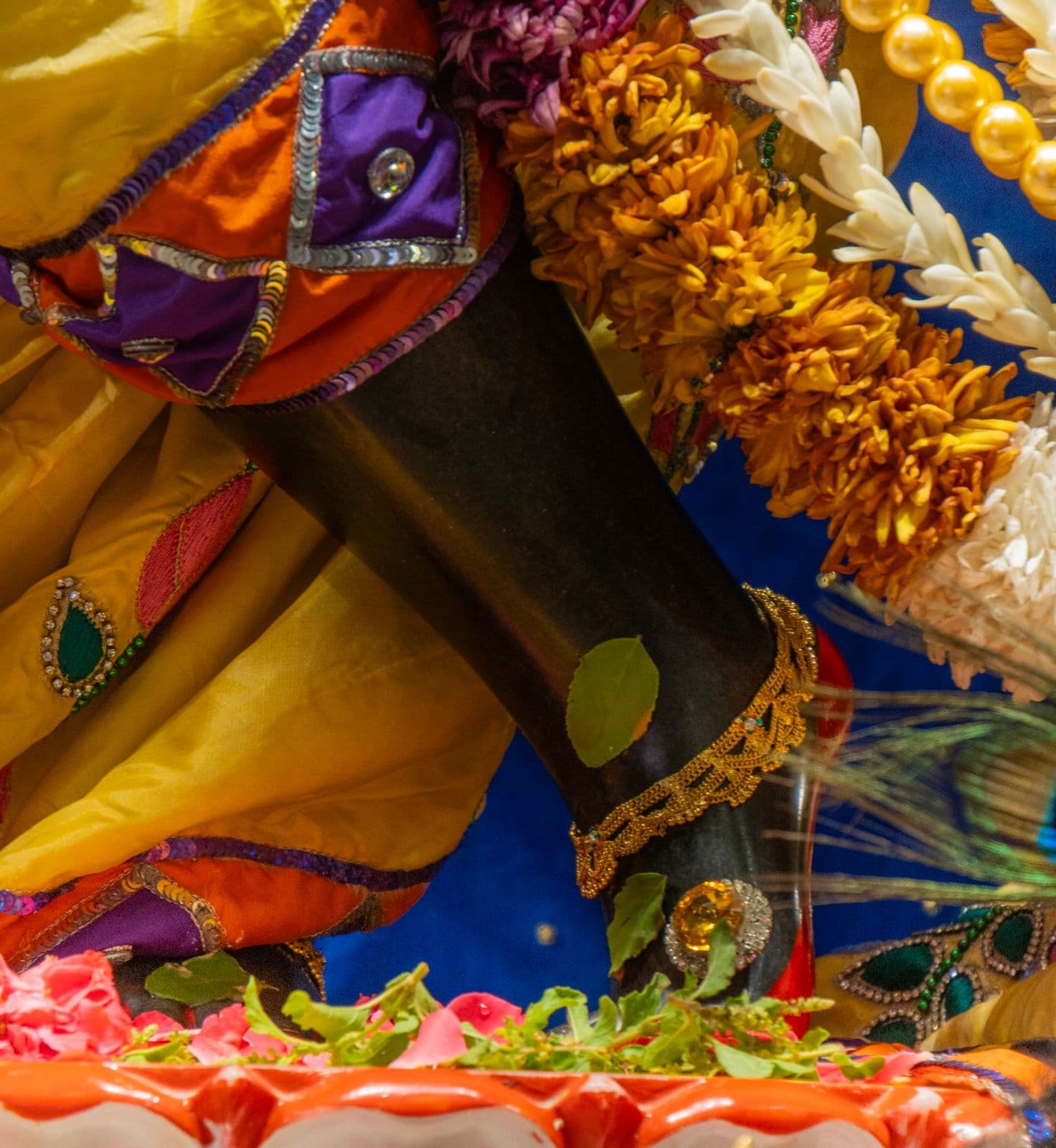 Sringar Darshan photo 4 of 6 — 21 May 2026