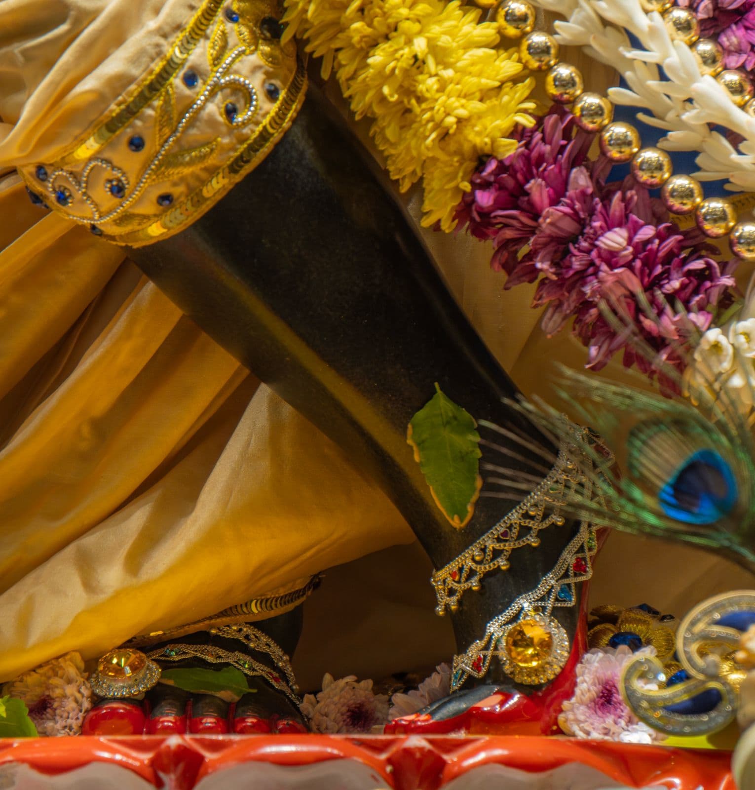 Sringar Darshan photo 4 of 6 — 29 May 2026