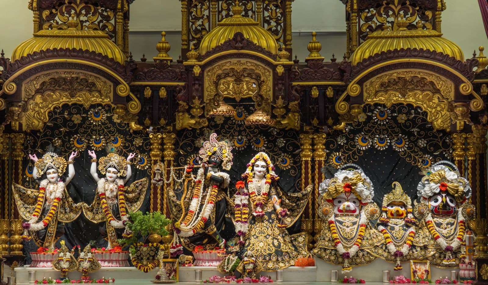Sringar Darshan photo 2 of 6 — 30 May 2026