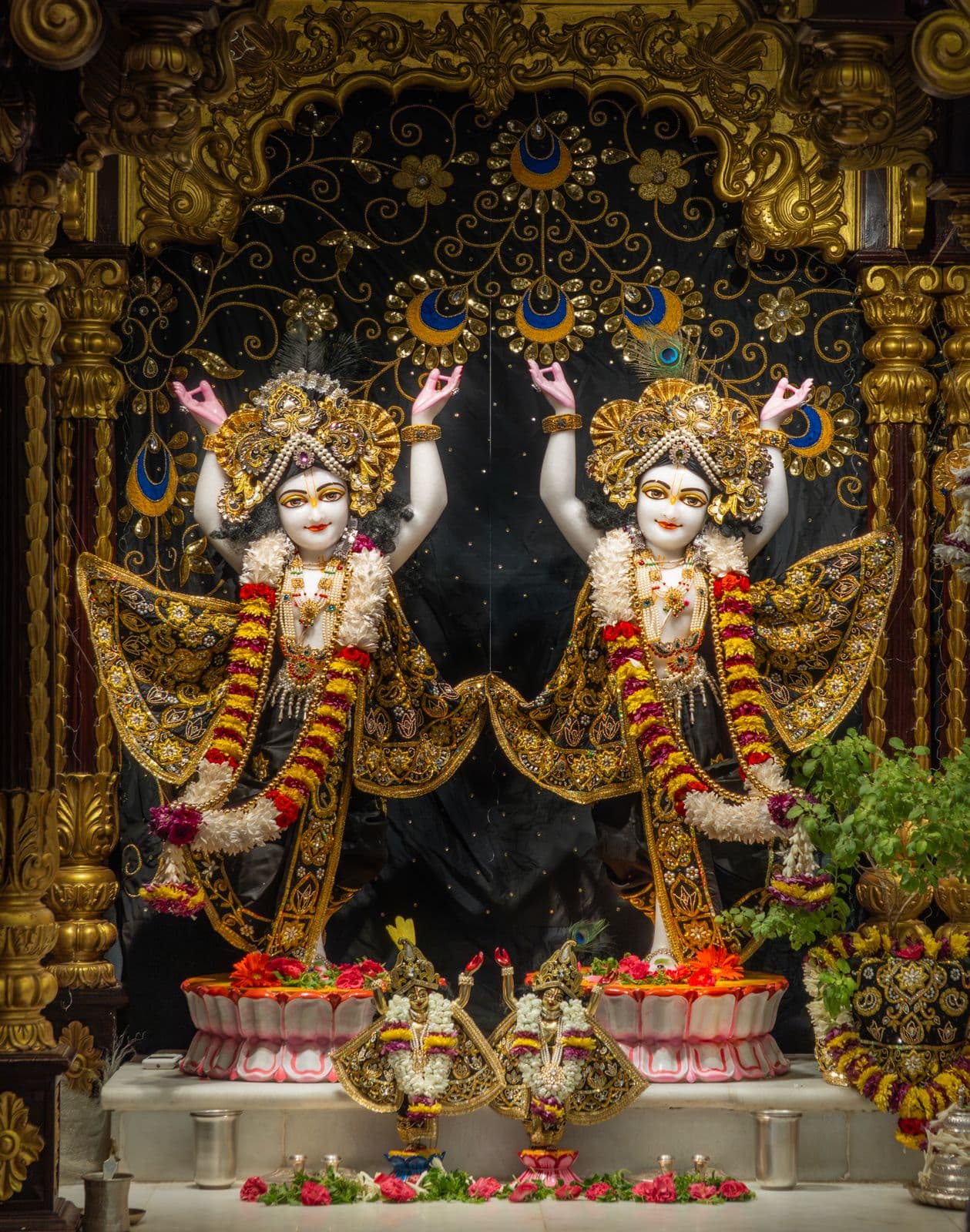 Sringar Darshan photo 5 of 6 — 30 May 2026