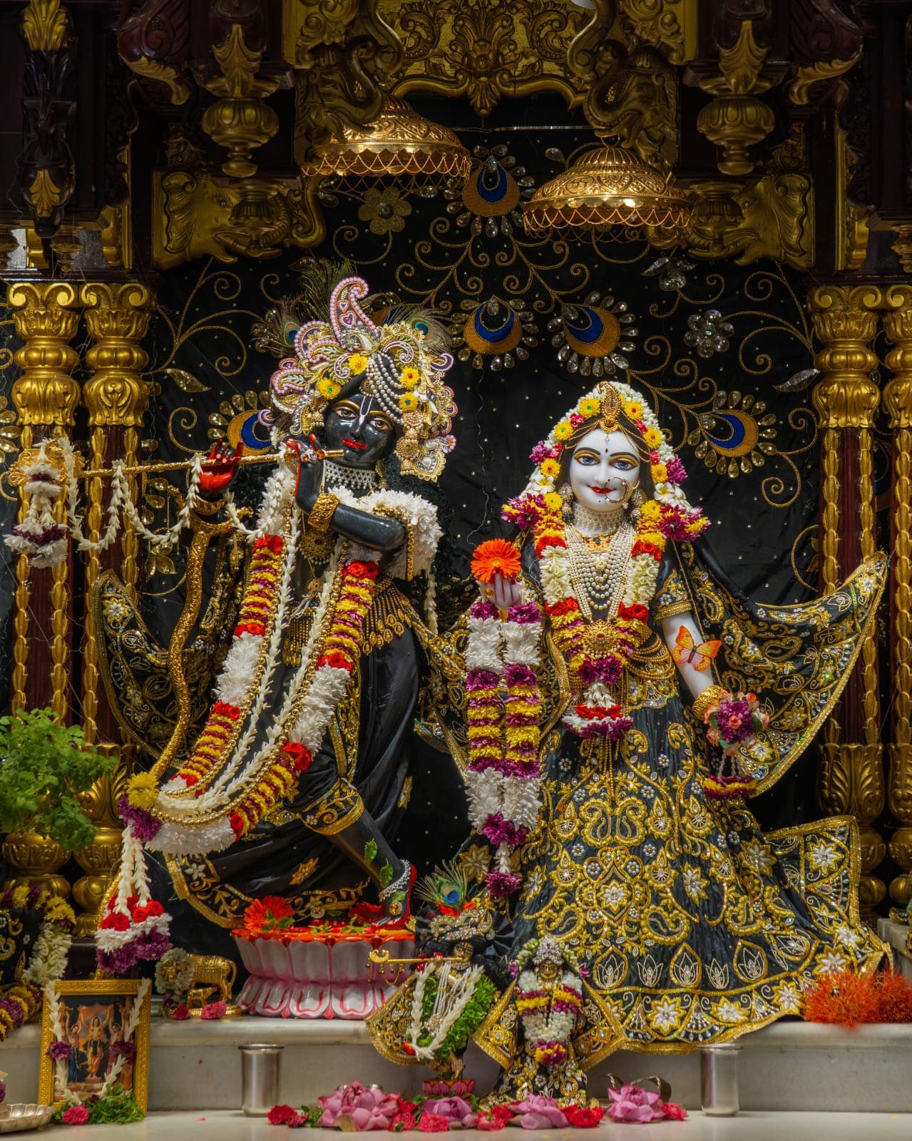Sringar Darshan photo 1 of 6 — 30 May 2026
