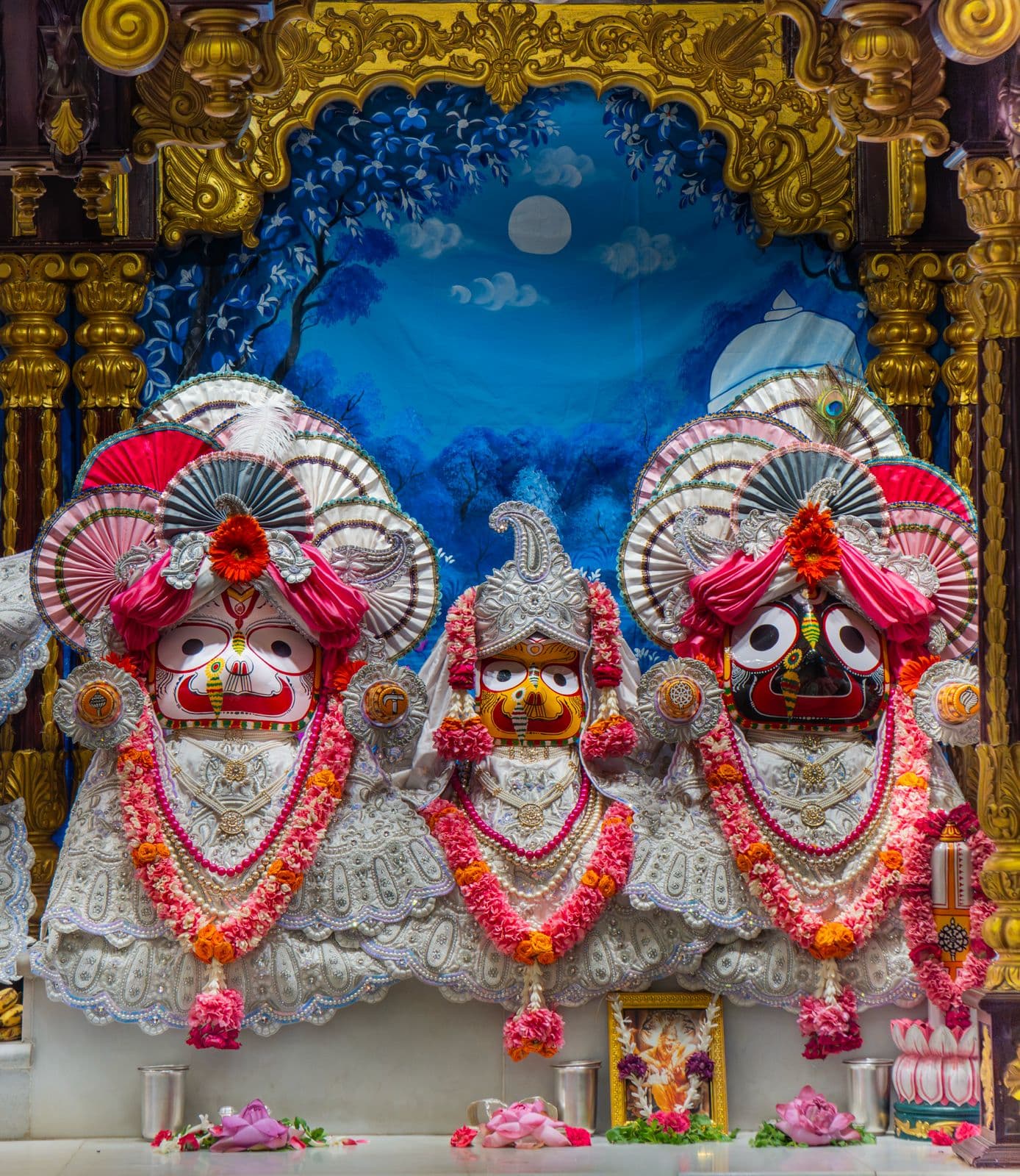 Sringar Darshan photo 3 of 6 — 31 May 2026
