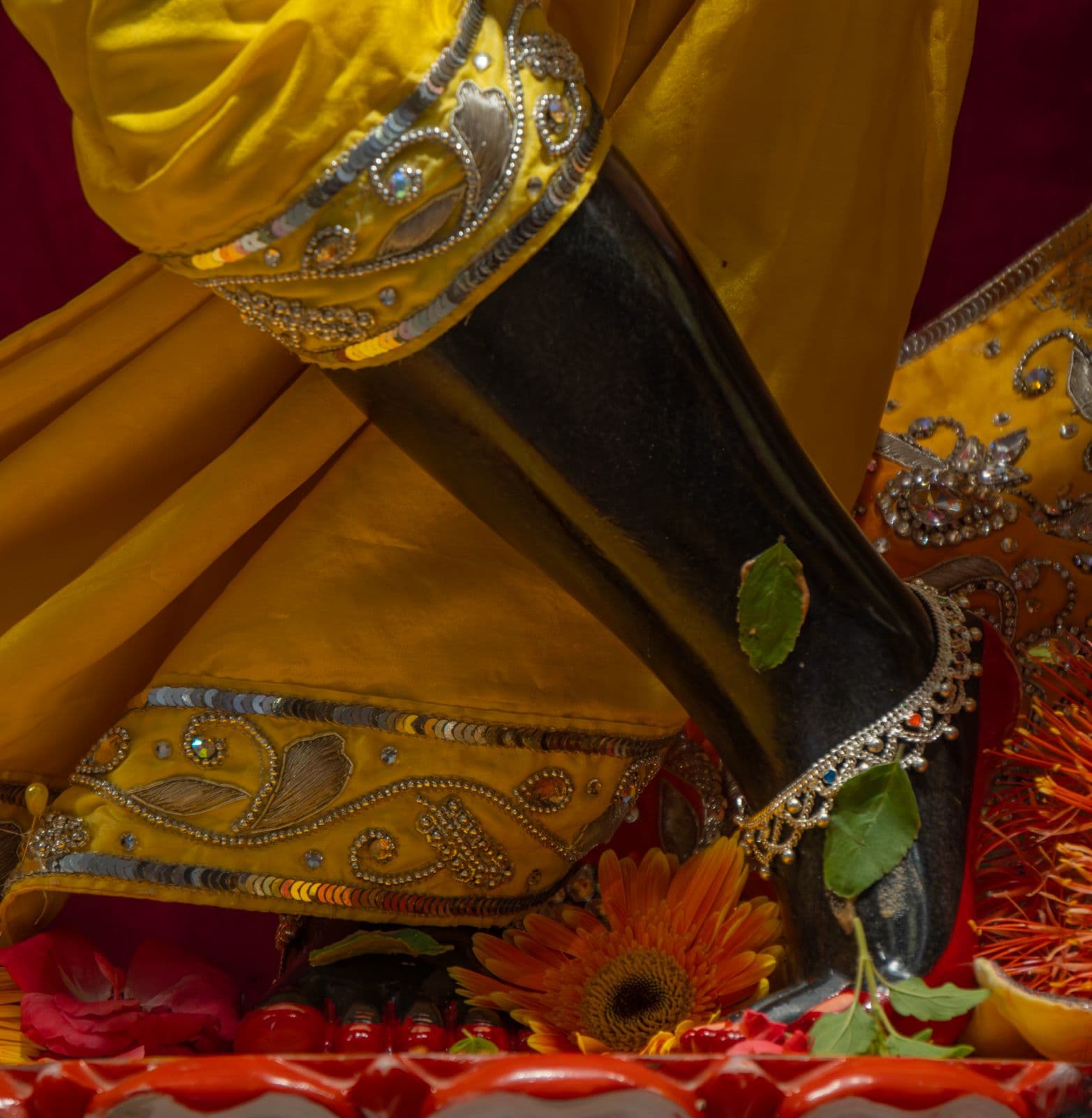 Sringar Darshan photo 4 of 6 — 4 June 2026