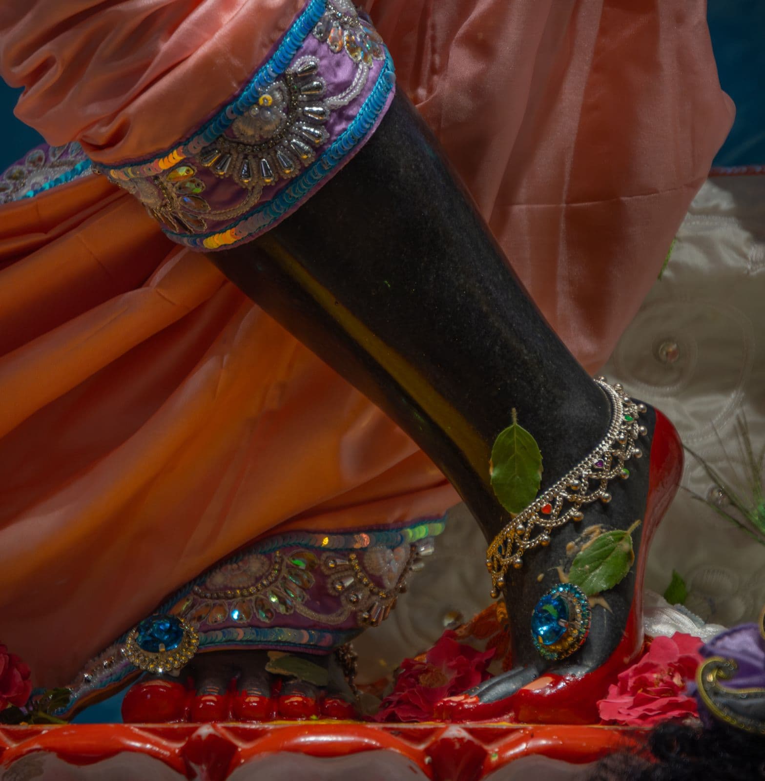 Sringar Darshan photo 5 of 6 — 8 June 2026