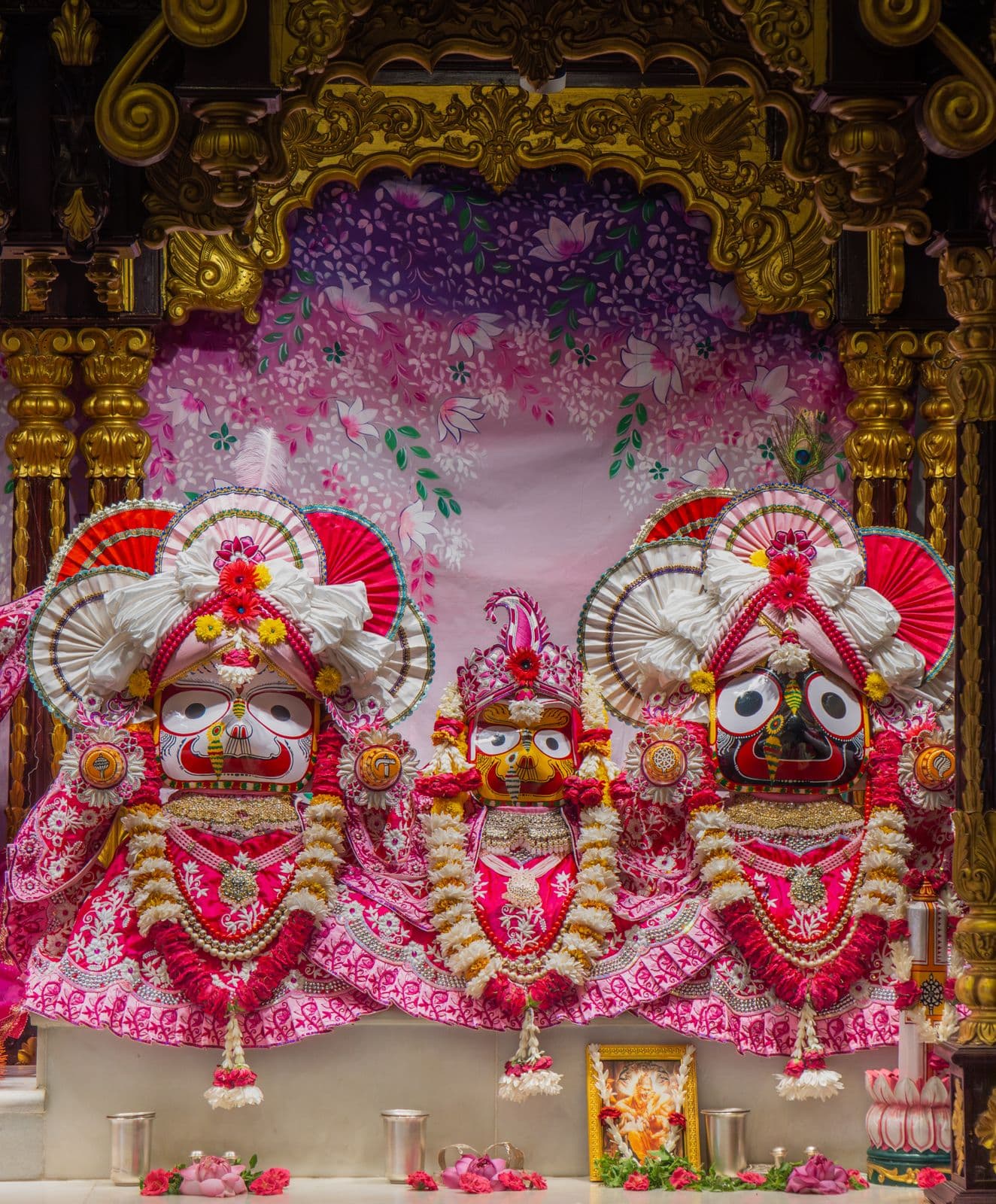 Sringar Darshan photo 3 of 6 — 9 June 2026