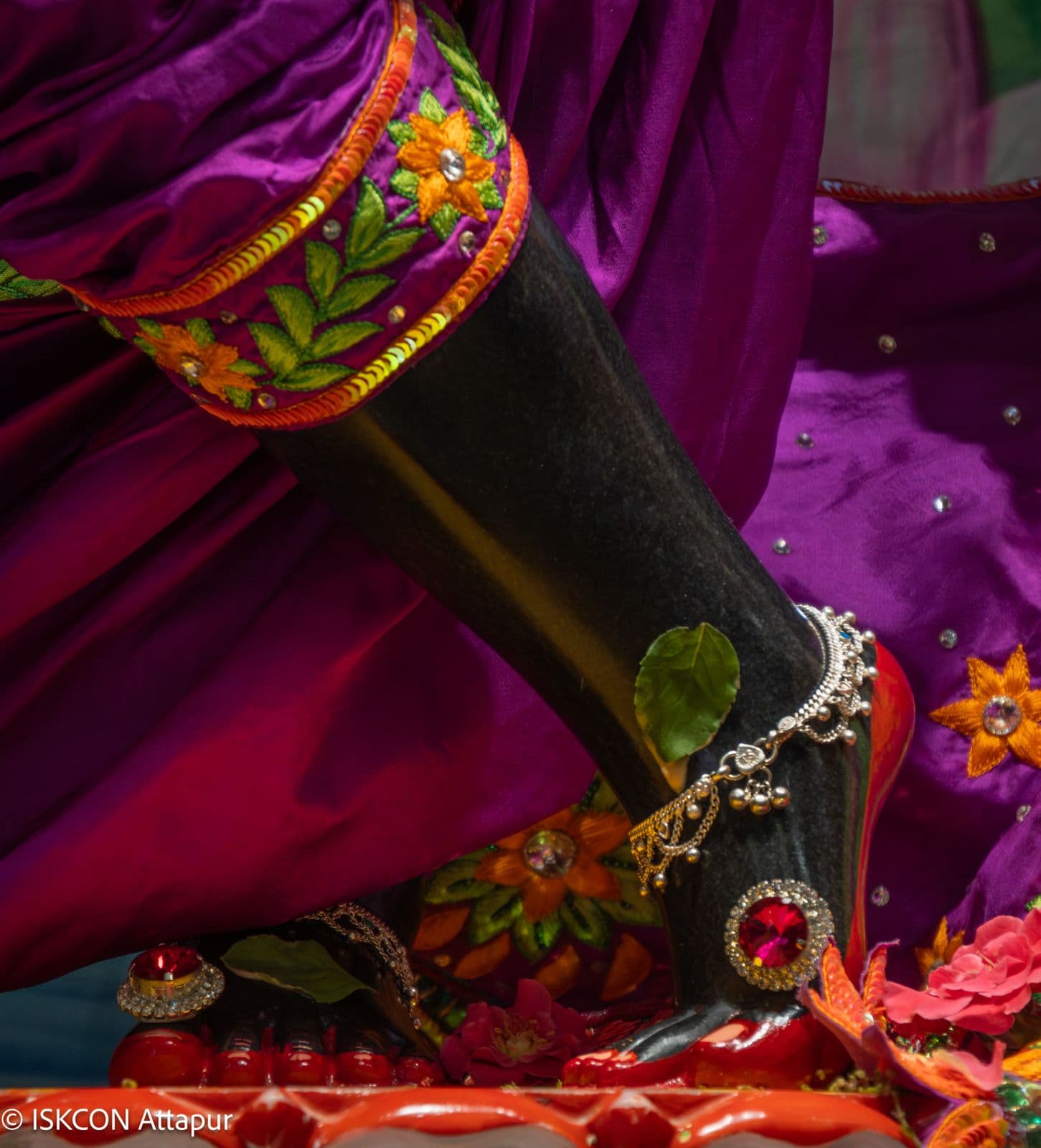 Sringar Darshan photo 4 of 6 — 12 June 2026