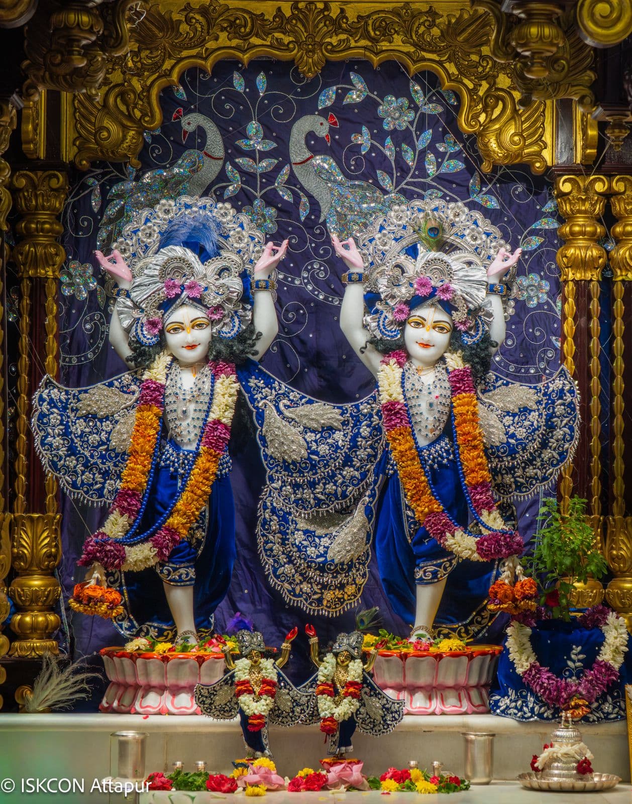 Sringar Darshan photo 2 of 6 — 14 June 2026