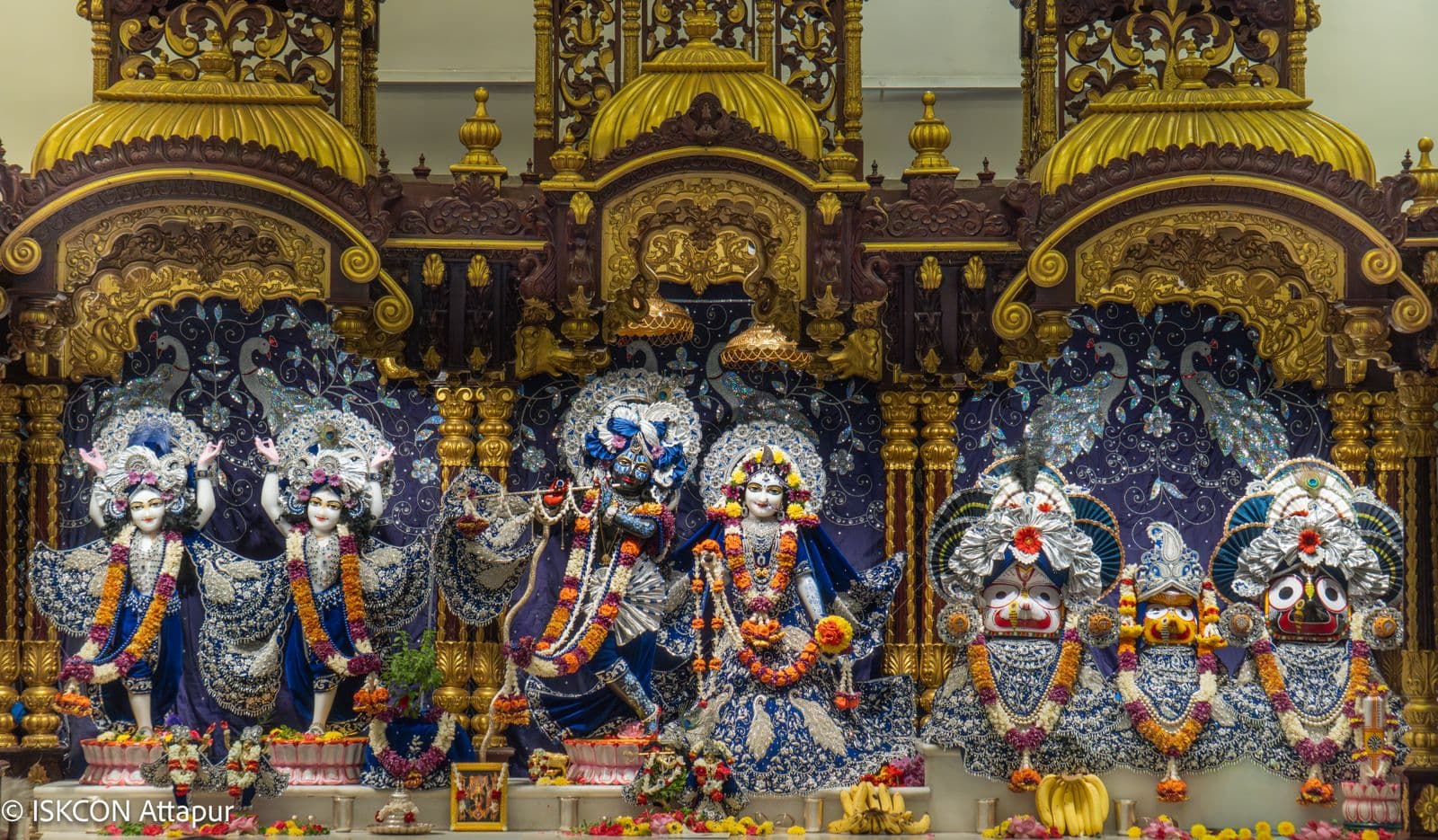 Sringar Darshan photo 4 of 6 — 14 June 2026
