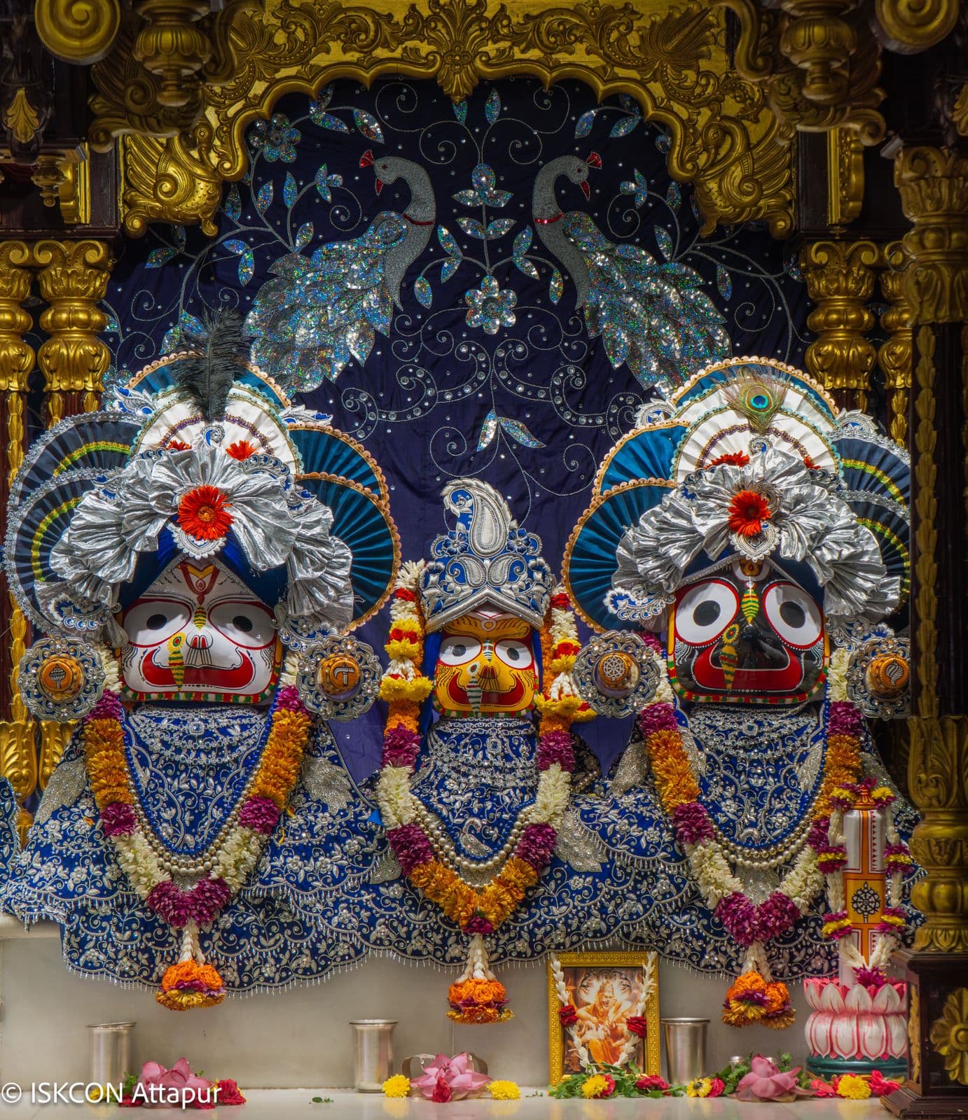 Sringar Darshan photo 6 of 6 — 14 June 2026