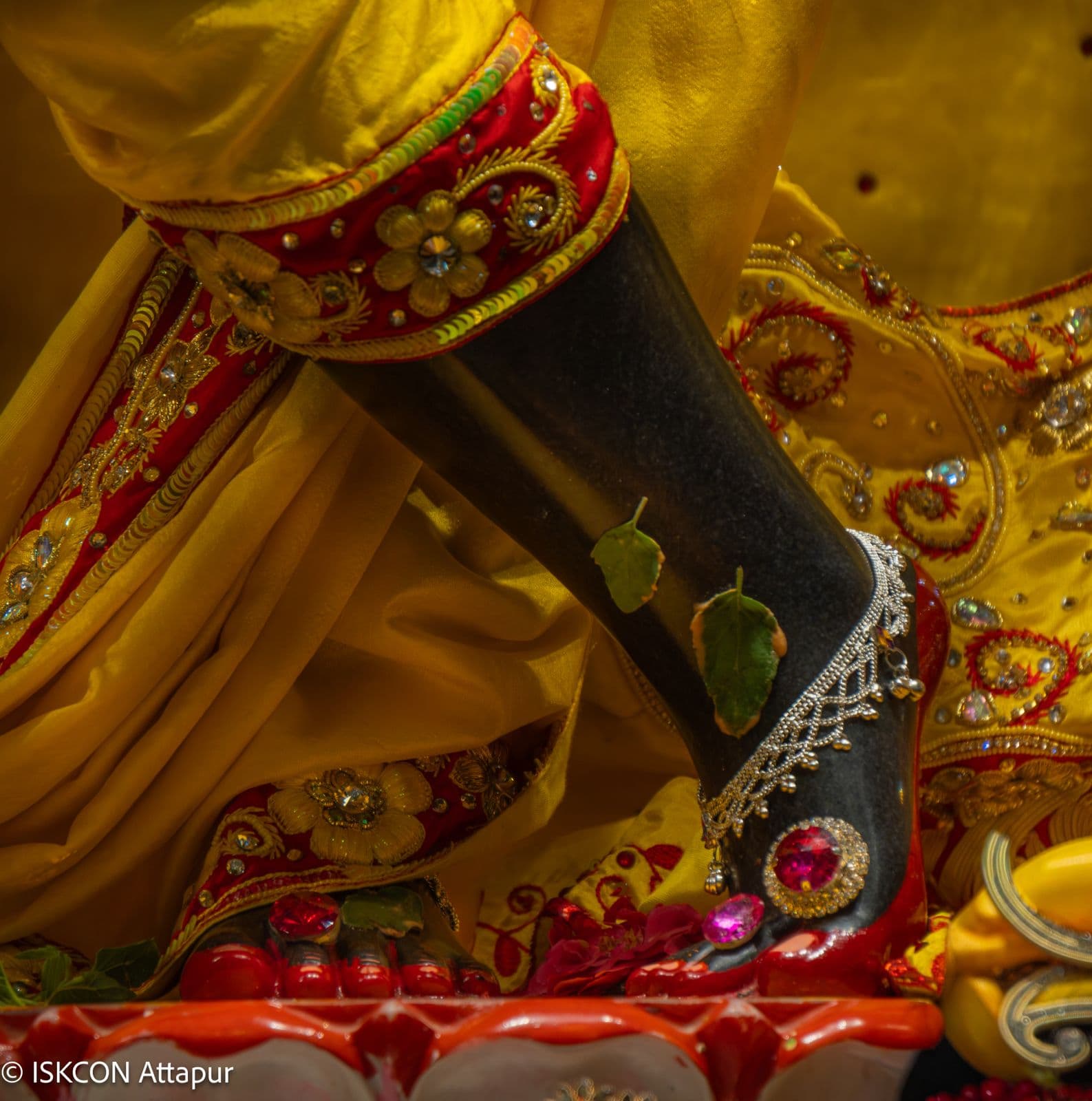 Sringar Darshan photo 4 of 6 — 18 June 2026
