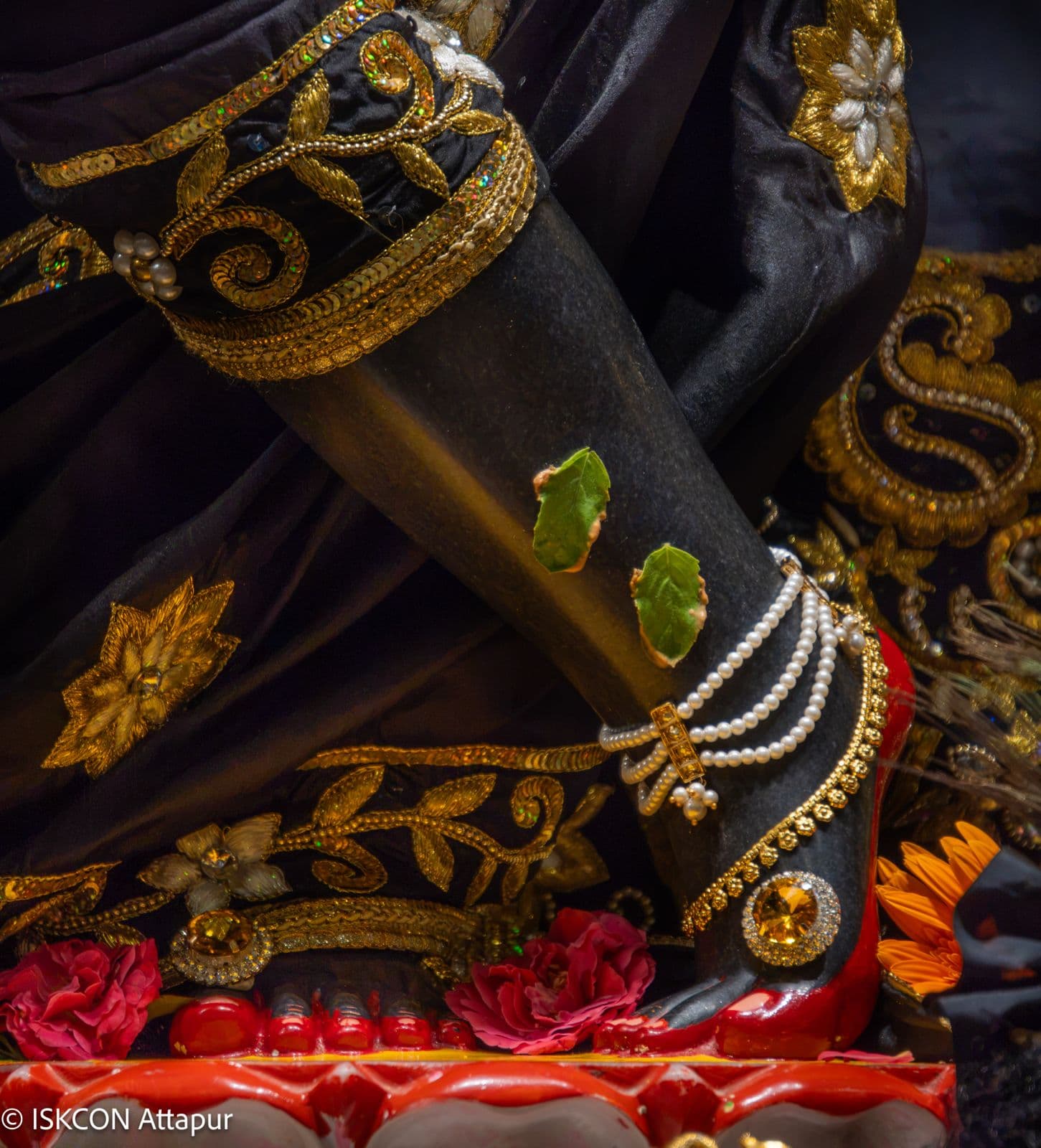 Sringar Darshan photo 4 of 6 — 27 June 2026