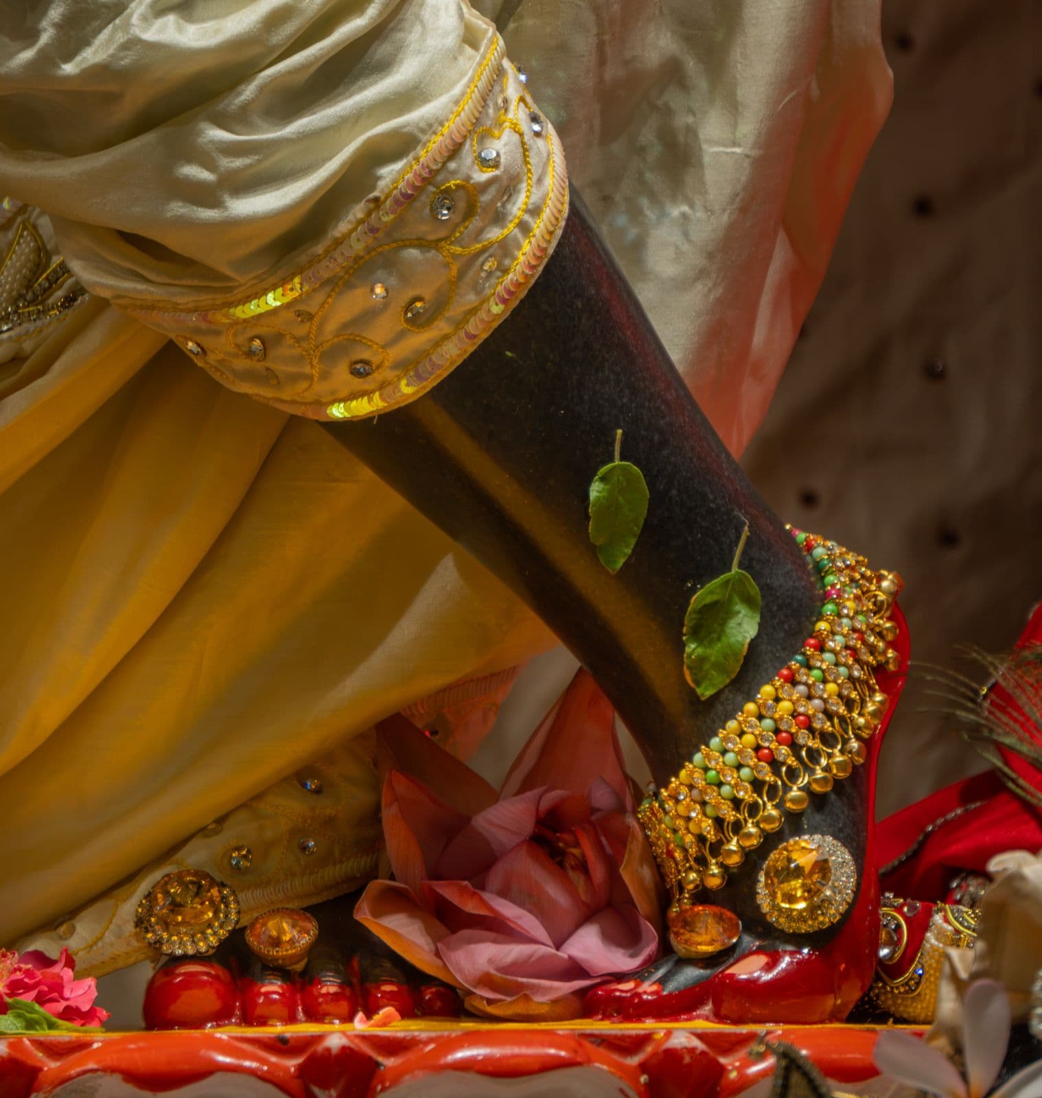 Sringar Darshan photo 4 of 6 — 21 July 2026