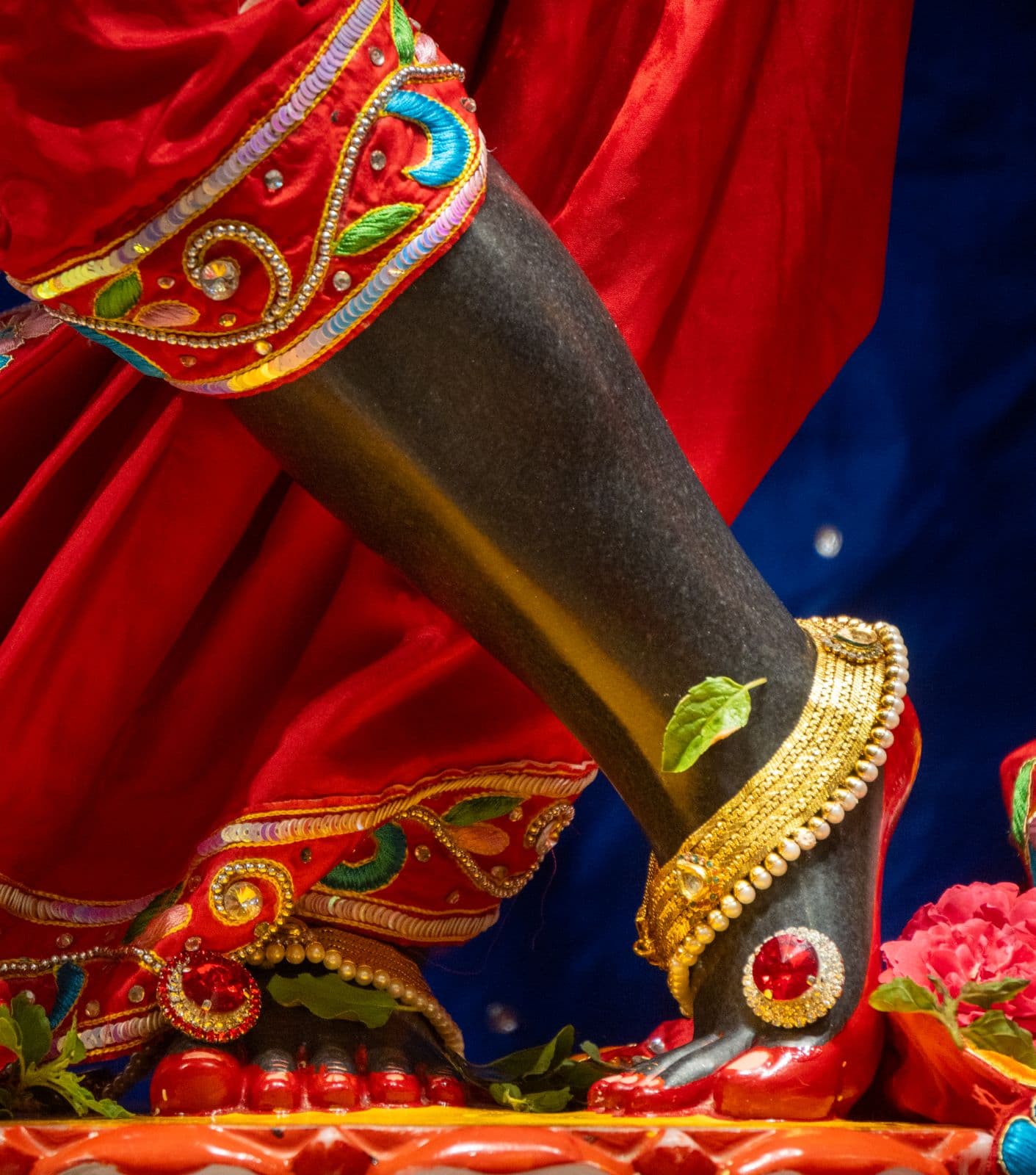 Sringar Darshan photo 2 of 6 — 28 July 2026