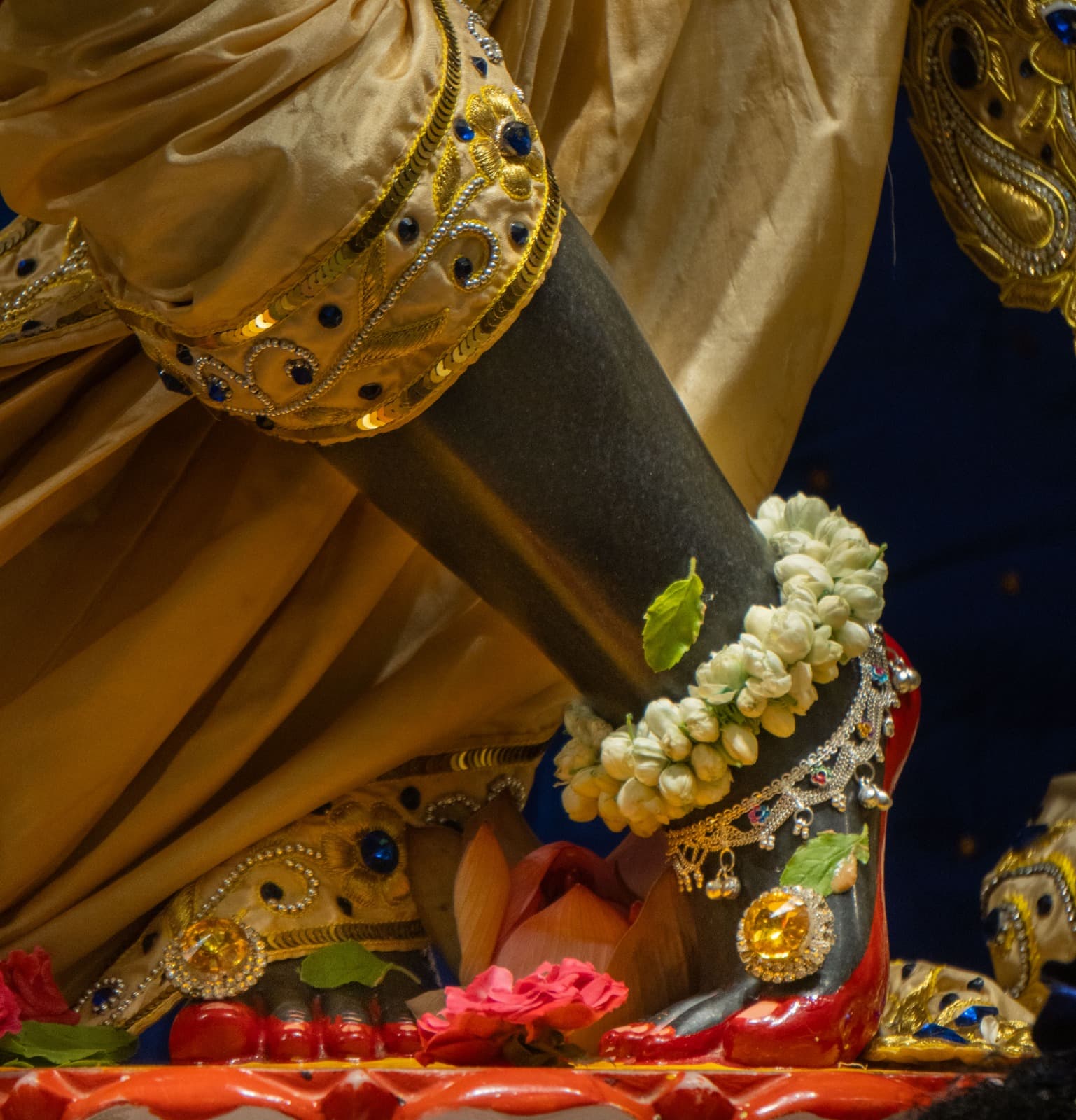Sringar Darshan photo 2 of 6 — 7 August 2026