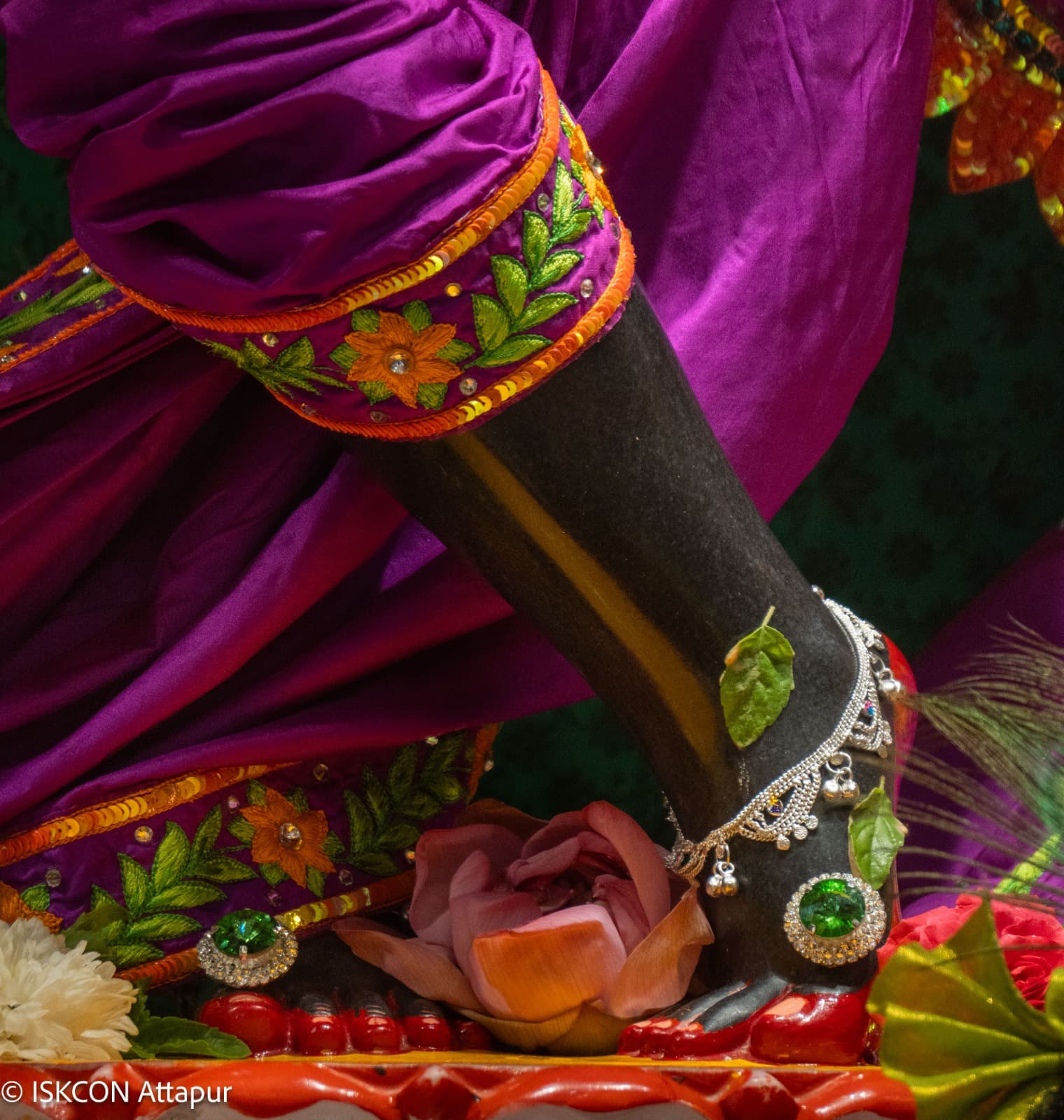 Sringar Darshan photo 4 of 6 — 14 August 2026